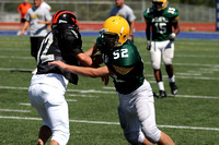 JV